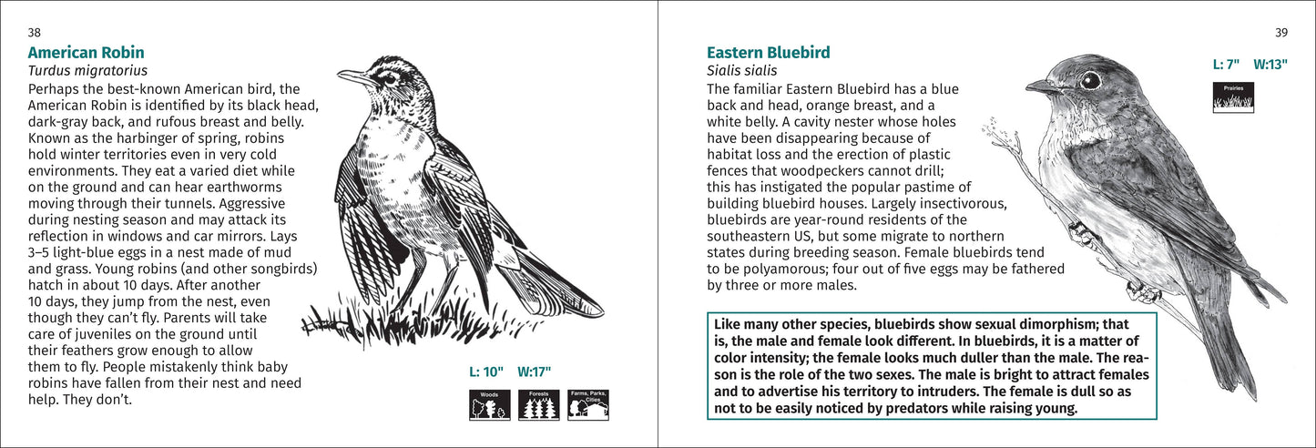 Bird Finder 2e