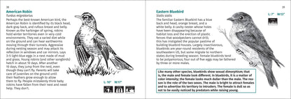 Bird Finder 2e