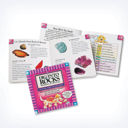 Dig Into Rocks Book