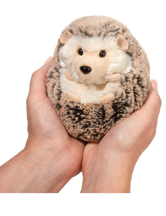 Spunky Hedgehog