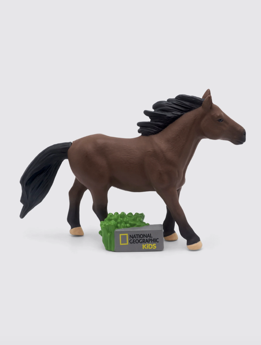 Tonie - National Geographic Horses