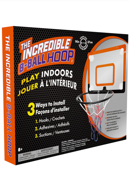 Incredible Basketball Hoop **LOCAL PICKUP OR DELIVERY ONLY**