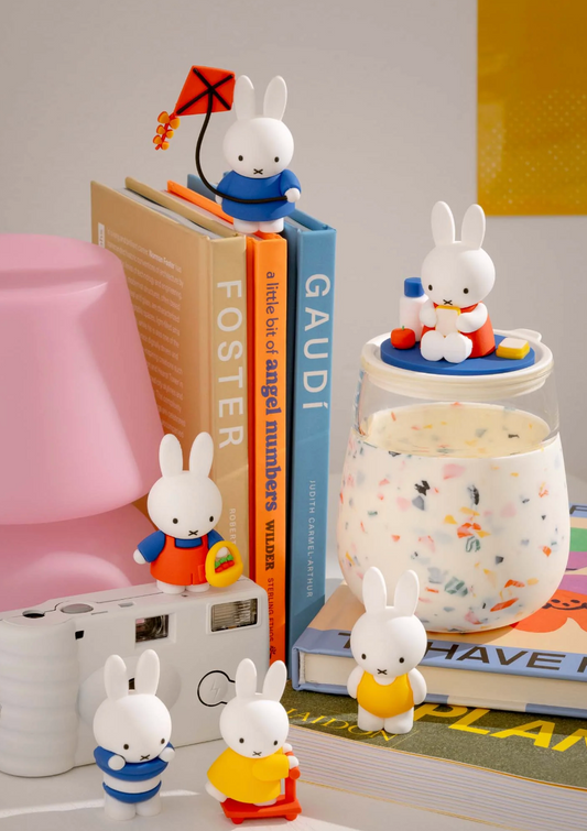 Miffy Goes Outside Blind Box