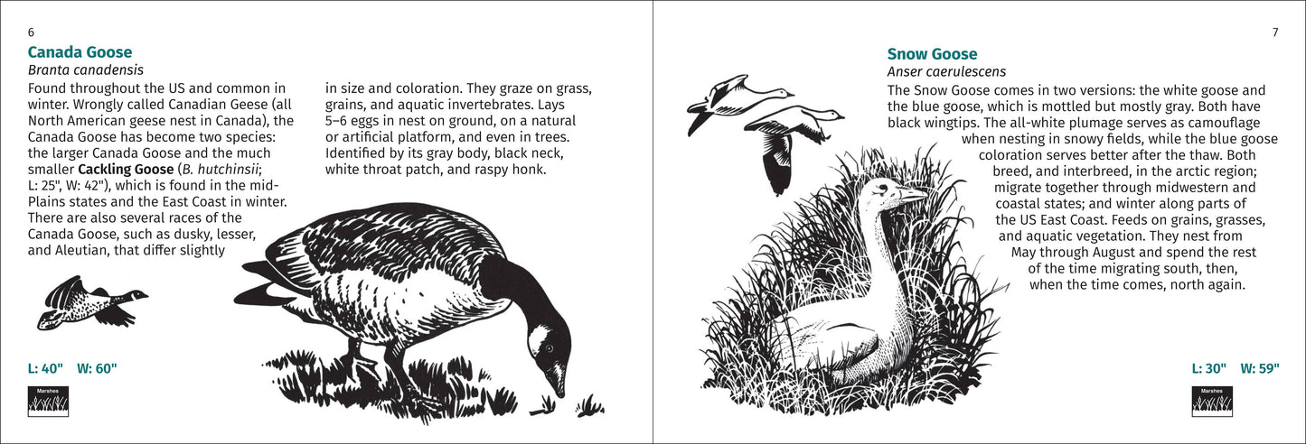 Bird Finder 2e