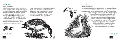 Bird Finder 2e