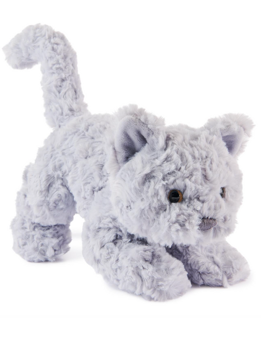 Bootsie English Blue Kitten