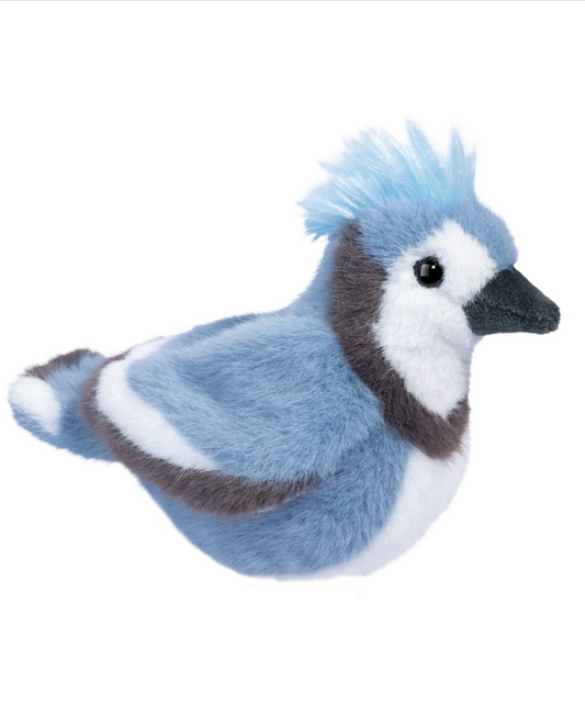 Denim Blue Jay