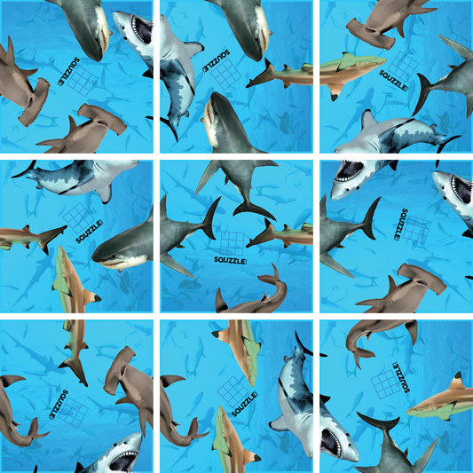 Sharks Squzzle Puzzle