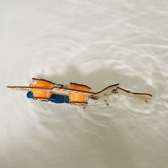 Fish Robot DIY Kit, Educational STEM Toy for Kids, Craft Kit