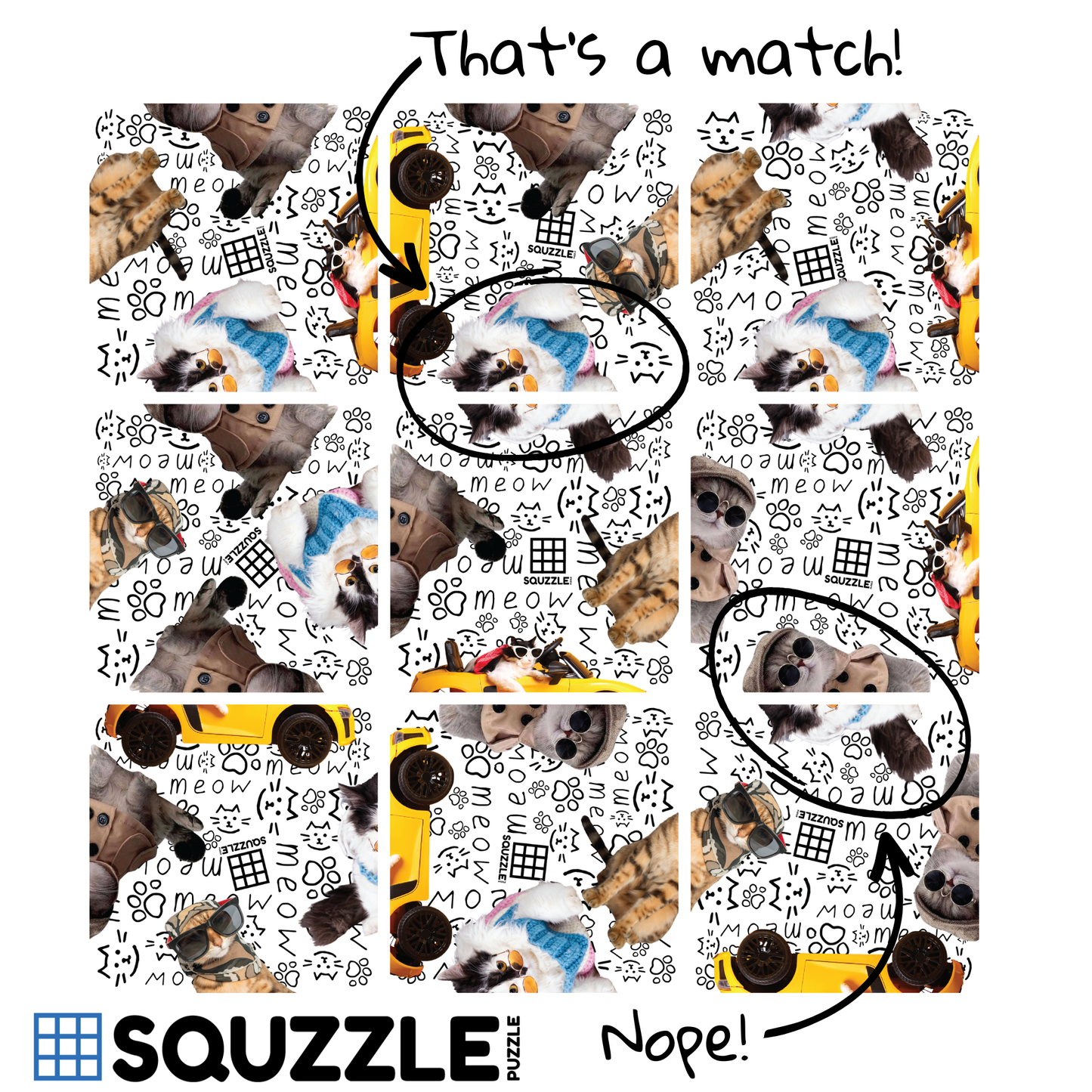 Cool Cats Squzzle Puzzle