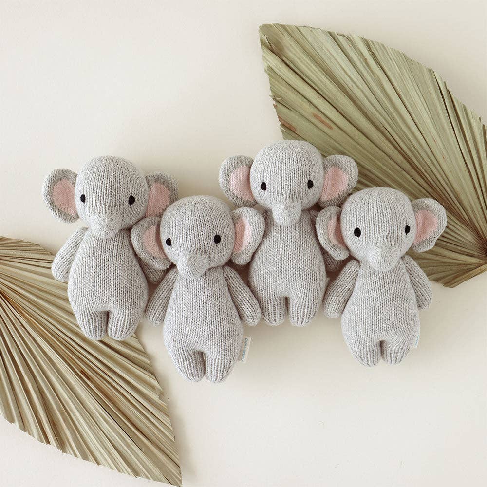 Baby elephant, gives 5 meals cudddle + kind