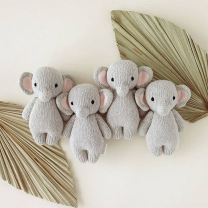 Baby elephant, gives 5 meals cudddle + kind
