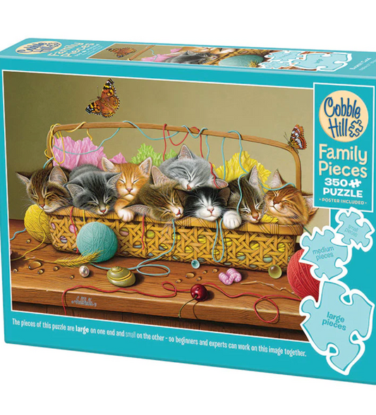 Basket Case Puzzle - Family Pieces 350