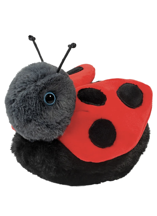 Bert Ladybug