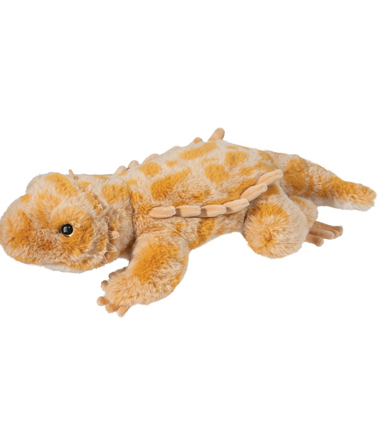 Boogie Soft Bearded Dragon
