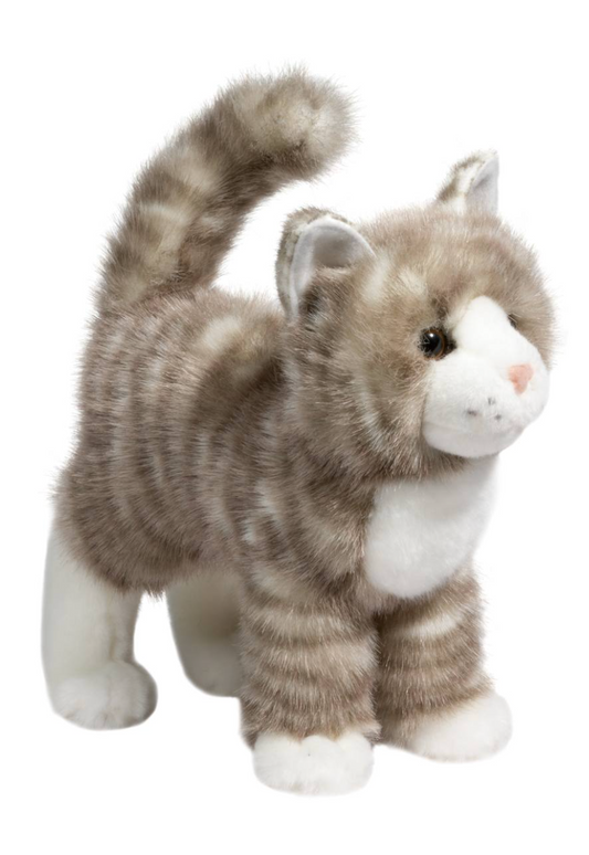 Zipper Gray Tabby Cat