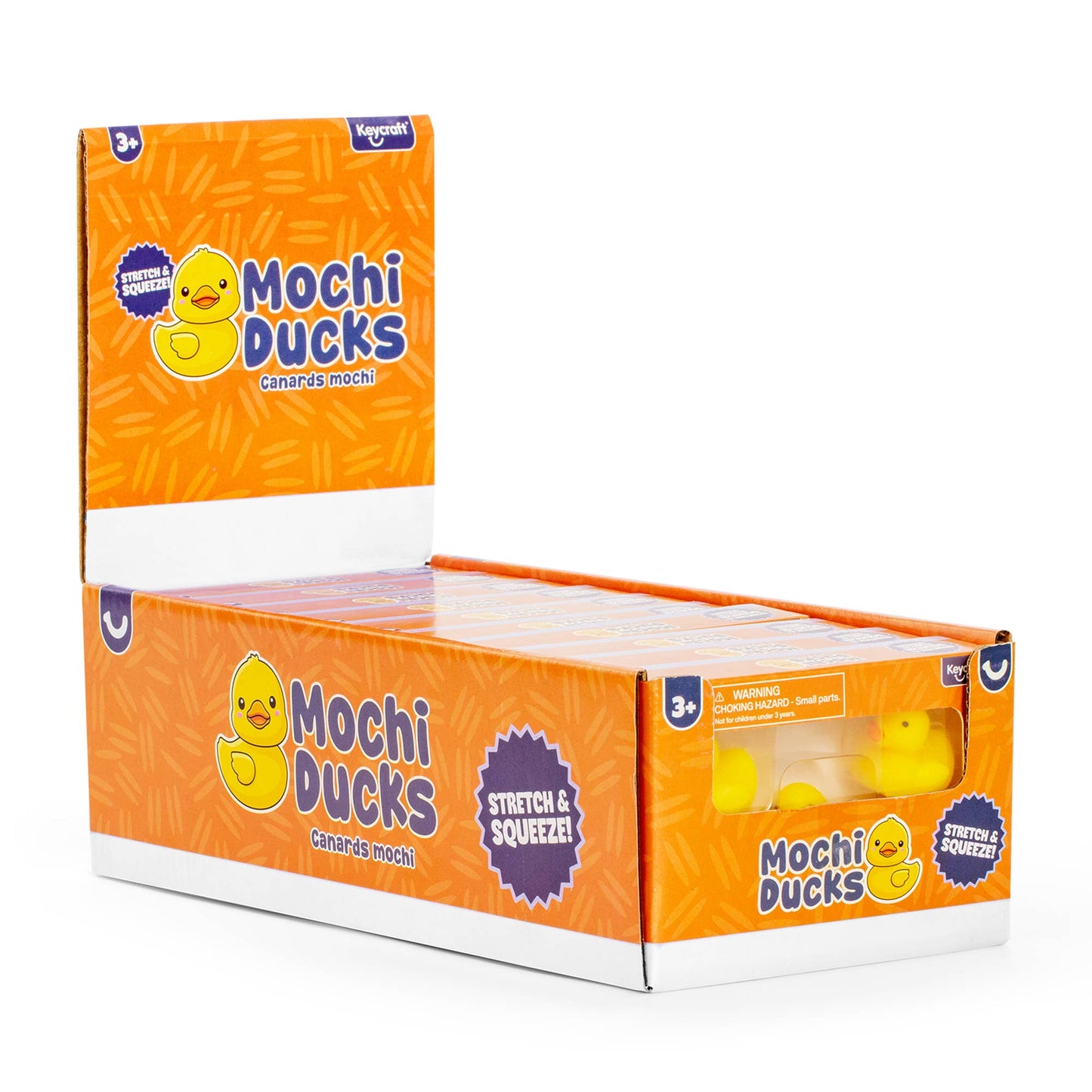Squishy Mochi Ducks in box