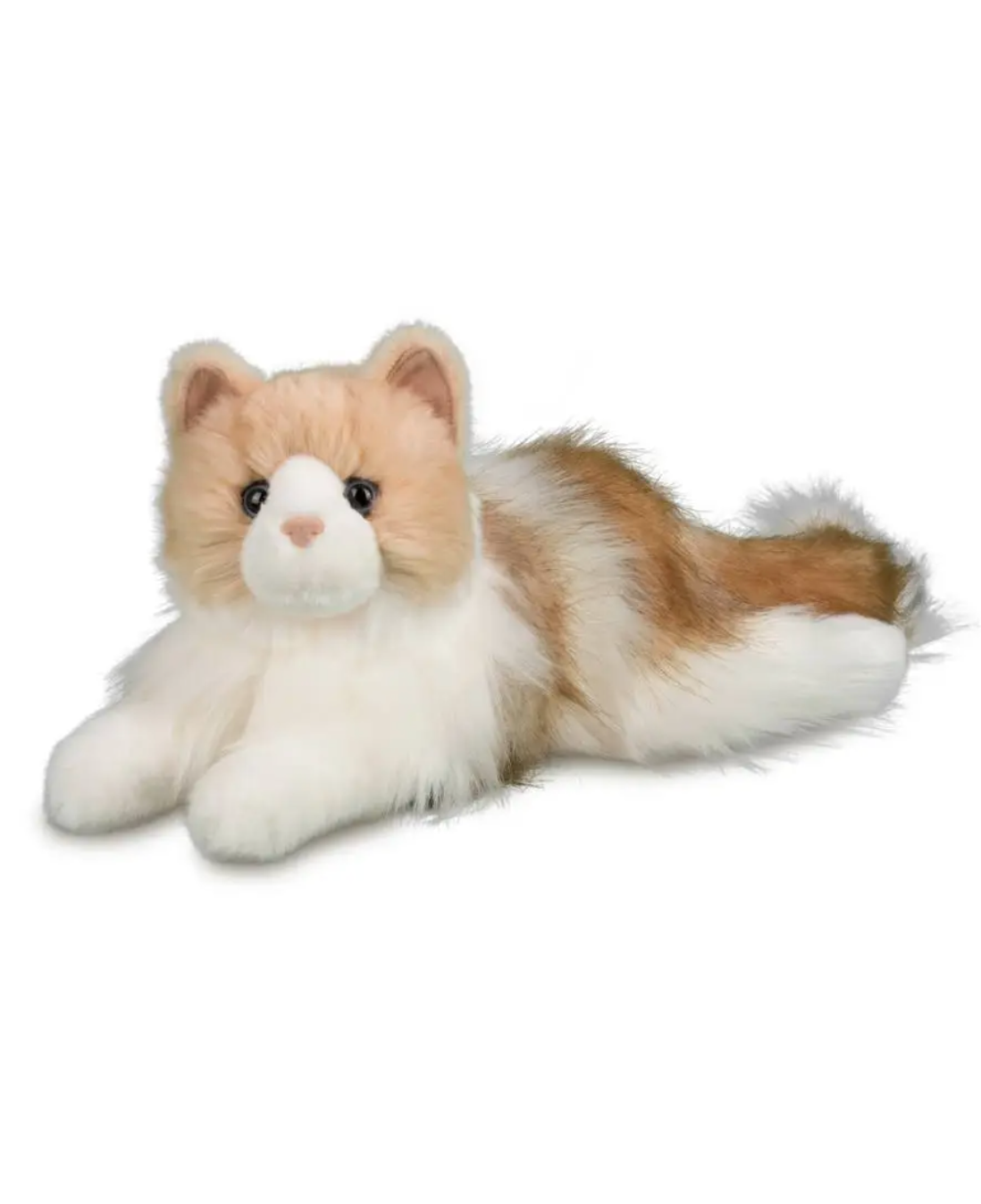 Kiki Ragdoll Cat