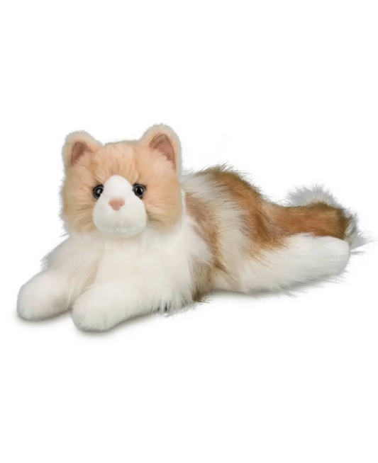 Kiki Ragdoll Cat