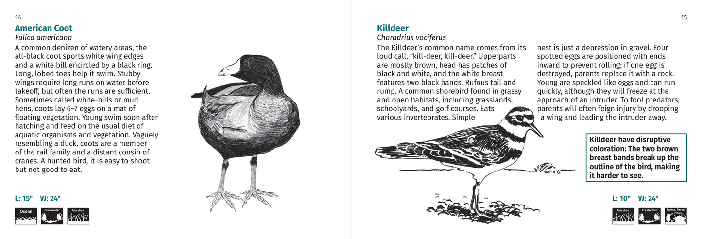 Bird Finder 2e