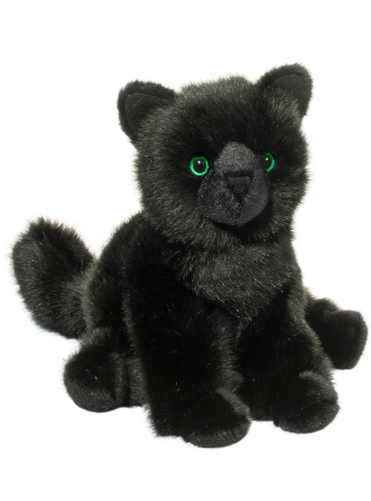 Salem Black Cat