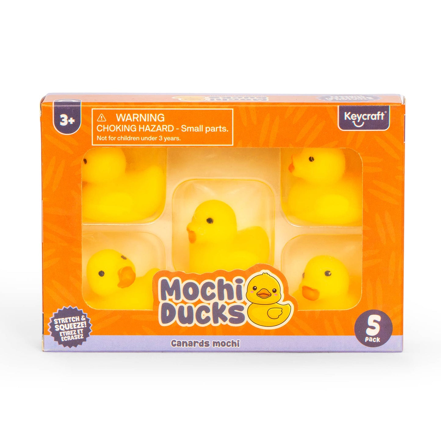 Squishy Mochi Ducks in box