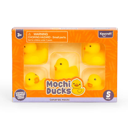 Squishy Mochi Ducks in box