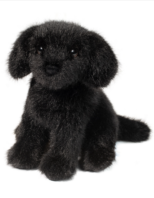 Mini Black Lab