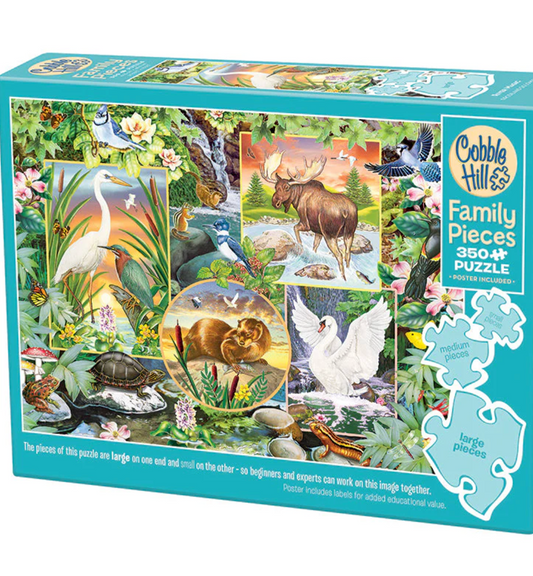 River Magic Puzzle | Family Pieces 350