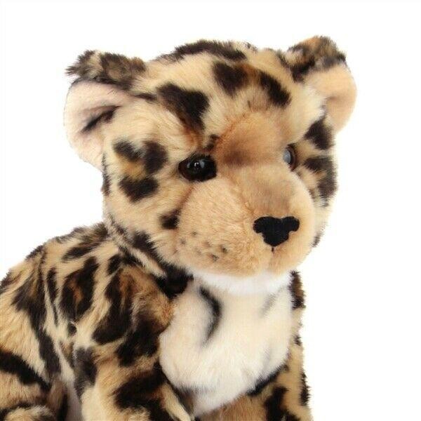 Spatter Leopard Cub