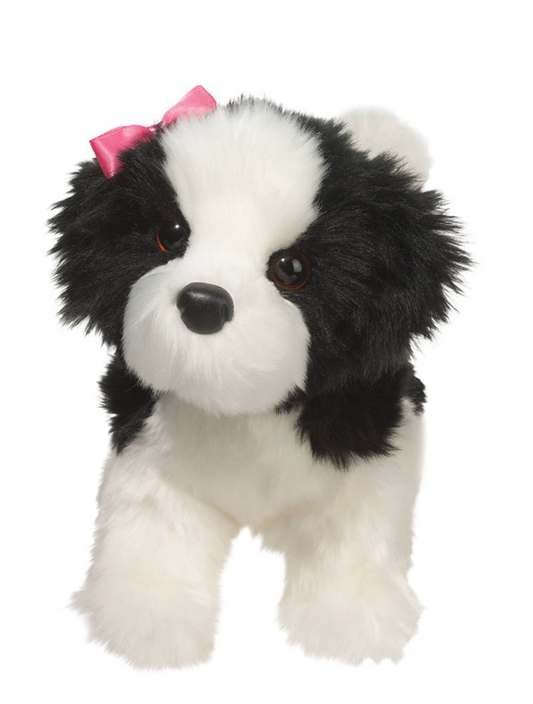 Poofy Black & White Shih-Tzu