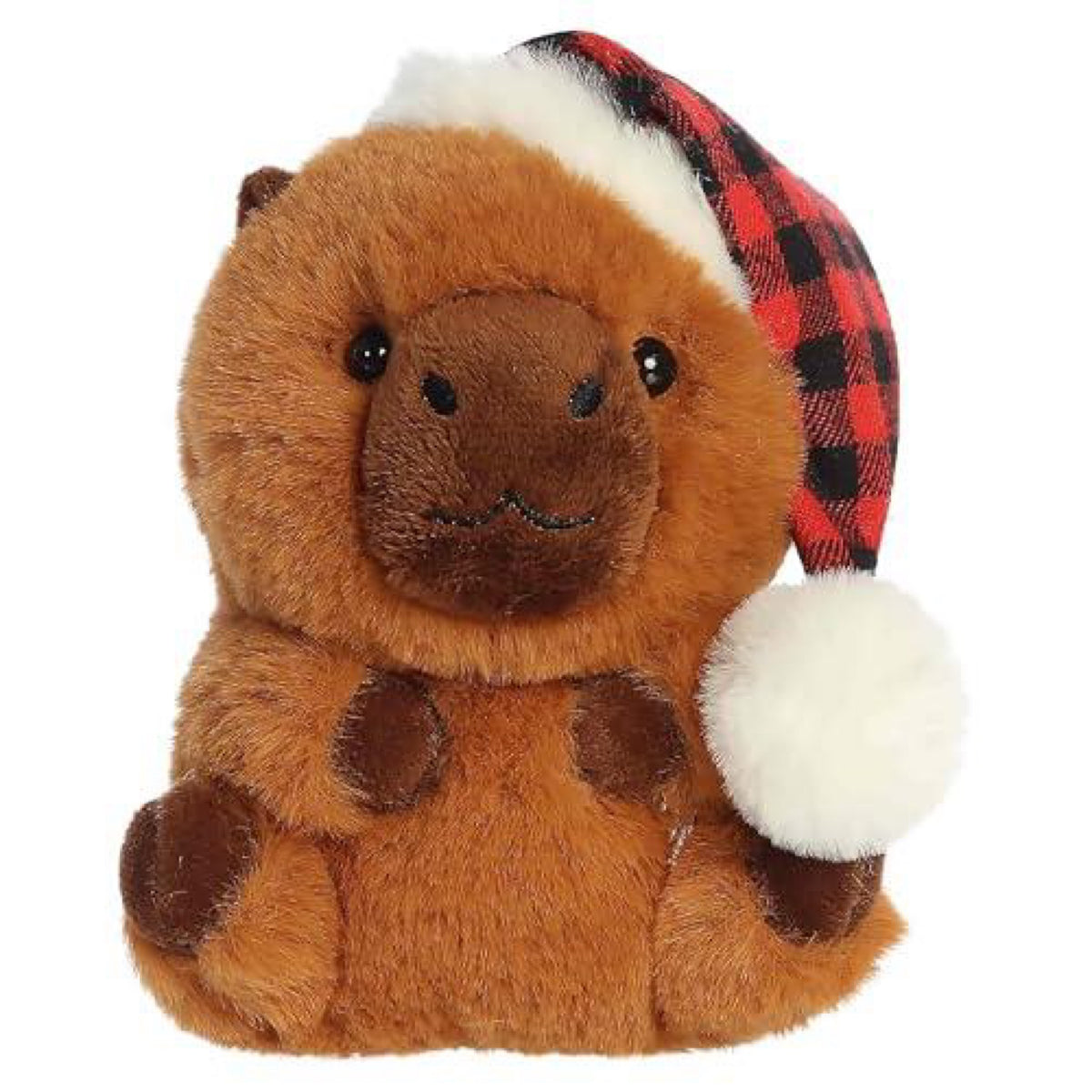 Corrina capybara