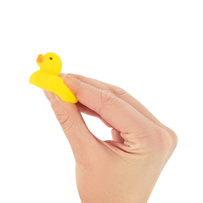Squishy Mochi Ducks in box